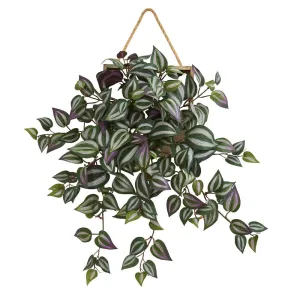 20" Wandering Jew Artificial Plant in Decorative Hanging Frame